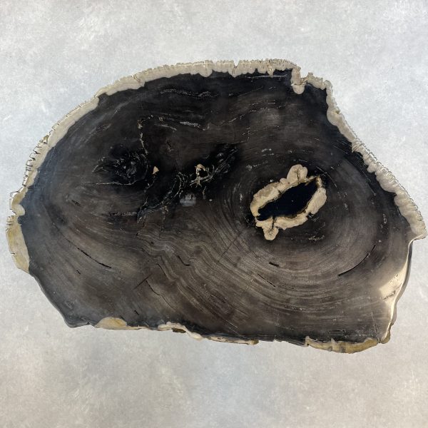 Versteend hout salontafel