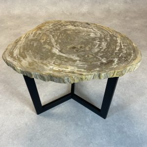 Versteend hout salontafel