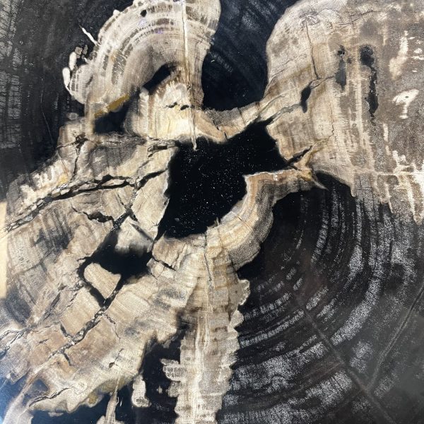 Couchtisch aus versteinertem Holz - Schwarz #484B21 – Bild 3
