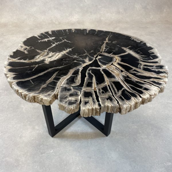 Versteend hout salontafel