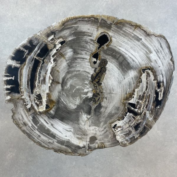 Couchtisch aus versteinertem Holz - Mix #27B1