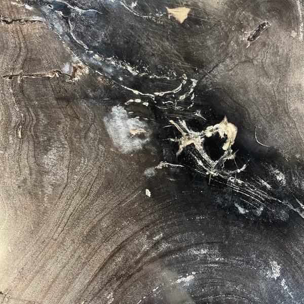 Versteend hout salontafel