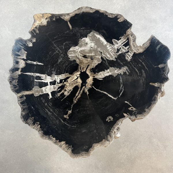 Couchtisch aus versteinertem Holz - Schwarz #482B21 – Bild 3