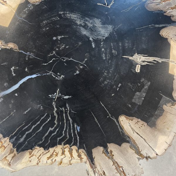 Couchtisch aus versteinertem Holz - Schwarz #61B5 – Bild 3