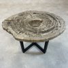 Couchtisch aus versteinertem Holz
