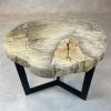 Couchtisch aus versteinertem Holz - Beige #124B17