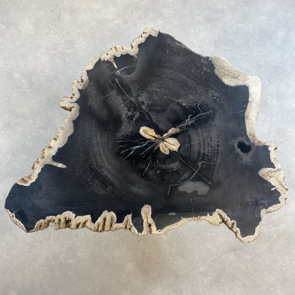 Versteend hout salontafel