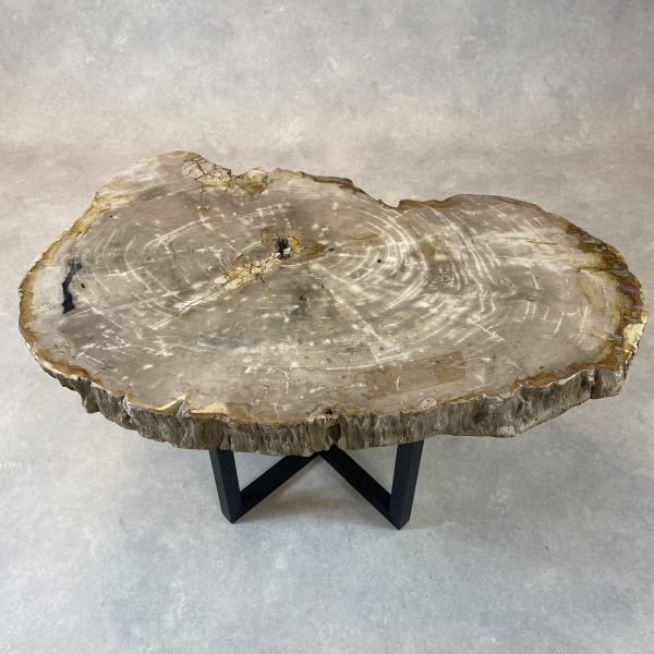 Couchtisch aus versteinertem Holz - Beige #335B8 – Bild 2