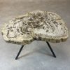 Couchtisch aus versteinertem Holz - Beige #147B1 – Bild 2