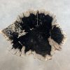 Versteend hout salontafel