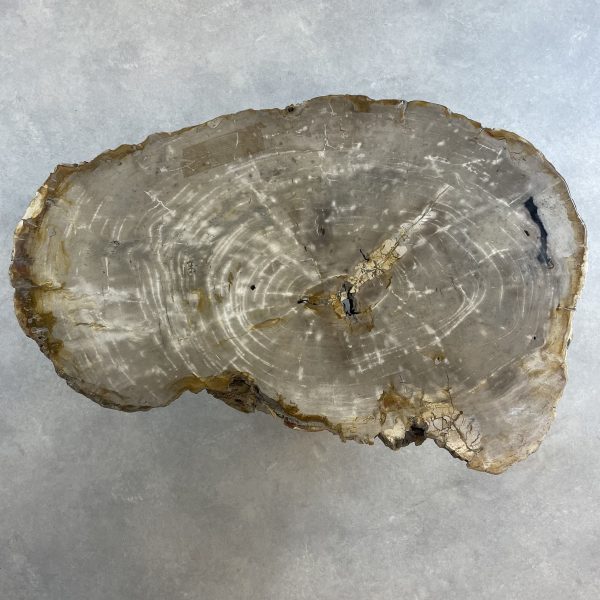 Couchtisch aus versteinertem Holz - Beige #335B8