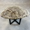 Versteend hout salontafel