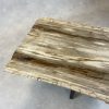 Couchtisch aus versteinertem Holz