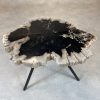 Versteend hout salontafel