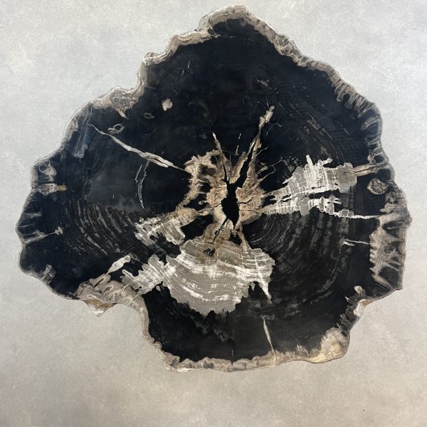 Couchtisch aus versteinertem Holz