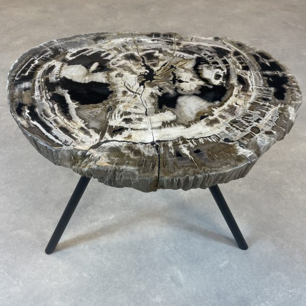 Couchtisch aus versteinertem Holz