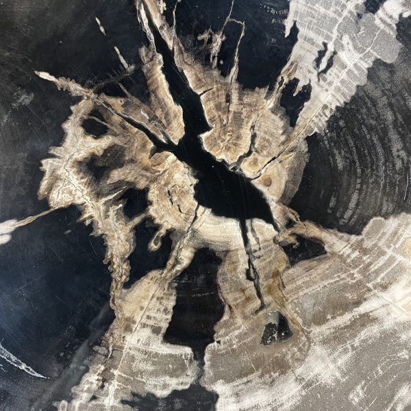 Couchtisch aus versteinertem Holz