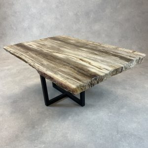 Versteend hout salontafel