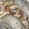 Versteend hout salontafel