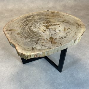 Versteend hout salontafel