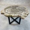 Couchtisch aus versteinertem Holz