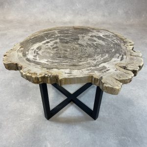 Versteend hout salontafel