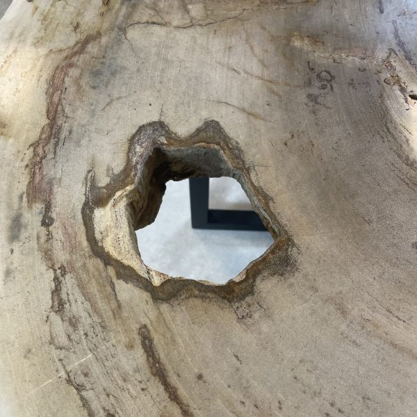 Versteend hout salontafel