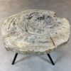 Couchtisch aus versteinertem Holz
