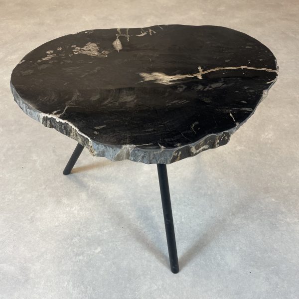 Versteend hout salontafel