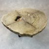Couchtisch aus versteinertem Holz