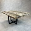Couchtisch aus versteinertem Holz