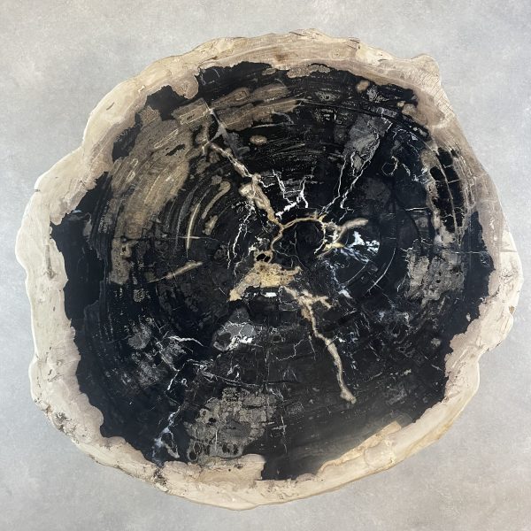 Couchtisch aus versteinertem Holz
