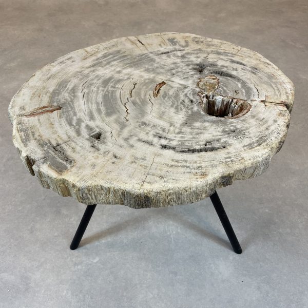 Versteend hout salontafel
