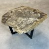Couchtisch aus versteinertem Holz