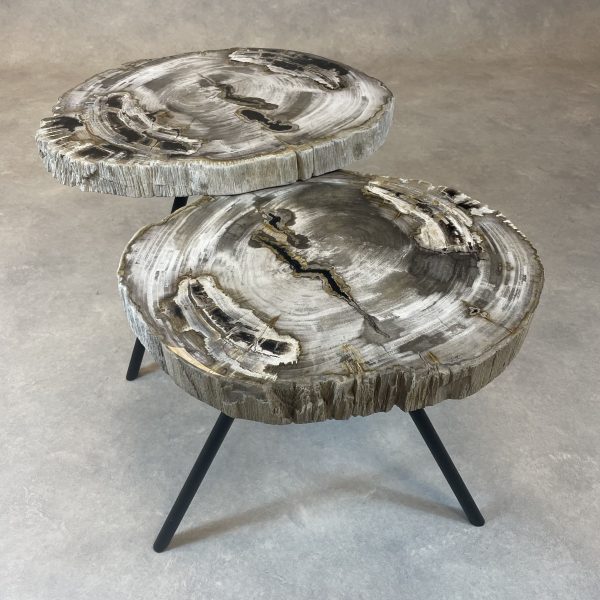 Versteend hout salontafel