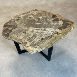 Versteend hout salontafel