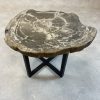 Versteend hout salontafel