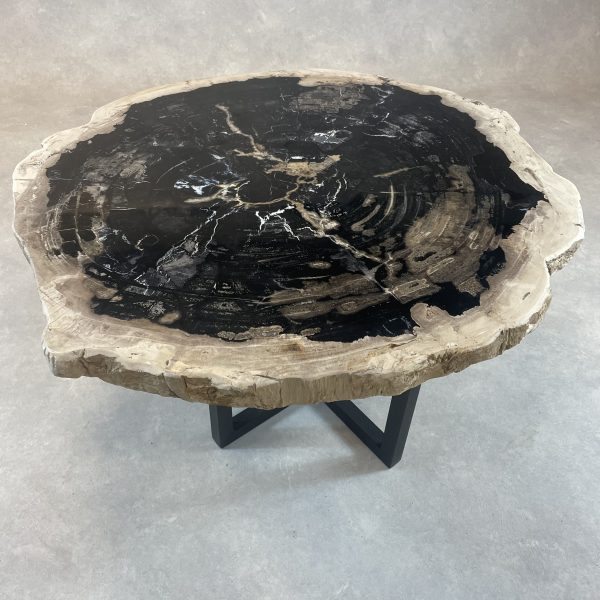 Couchtisch aus versteinertem Holz