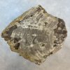 Couchtisch aus versteinertem Holz