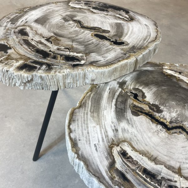 Versteend hout salontafel