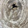 Couchtisch aus versteinertem Holz