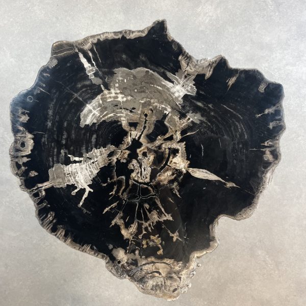 Couchtisch aus versteinertem Holz - Schwarz #483B21
