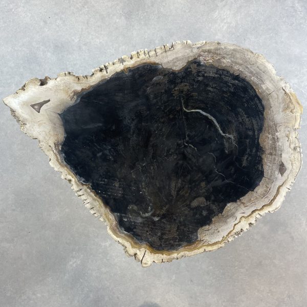 Couchtisch aus versteinertem Holz - Mix #191B20 – Bild 2