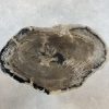 Couchtisch aus versteinertem Holz - Mix #163B17
