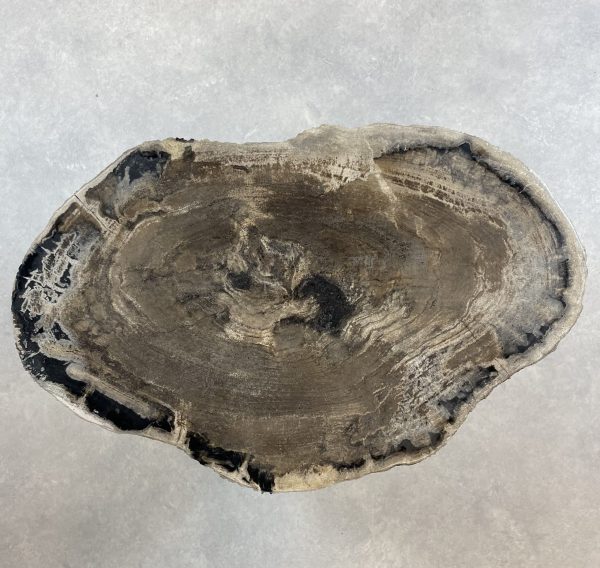 Couchtisch aus versteinertem Holz - Mix #163B17