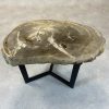 Couchtisch aus versteinertem Holz - Beige #458B11