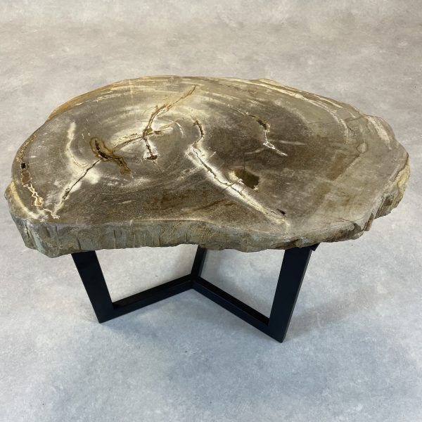 Couchtisch aus versteinertem Holz - Beige #458B11