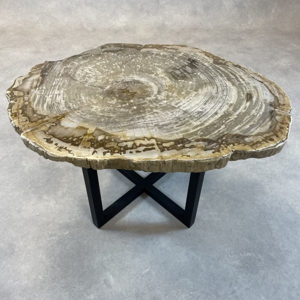 Couchtisch aus versteinertem Holz