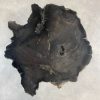 Couchtisch aus versteinertem Holz
