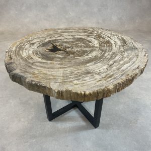 Versteend hout salontafel